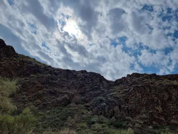 bir ağaç ile güzel dağ manzara