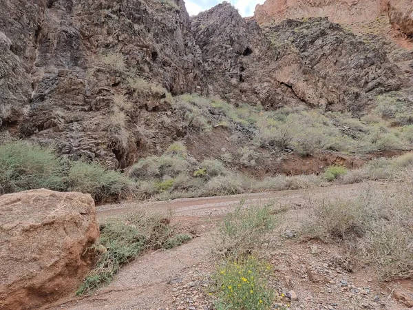Dağların güzel manzarası