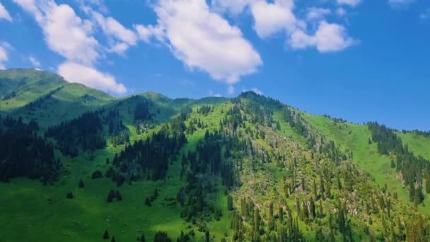 Niesamowite Krajobraz Górski Lecie — Wideo stockowe