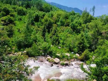 yaz aylarında güzel dağ manzarası 