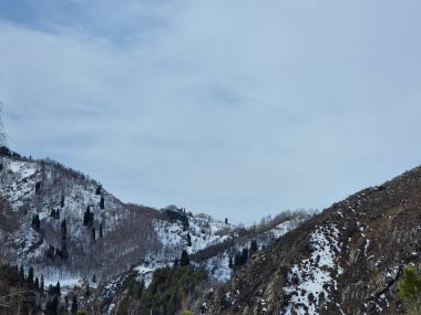 Doğanın güzel manzarası