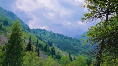 Dağların güzel manzarası