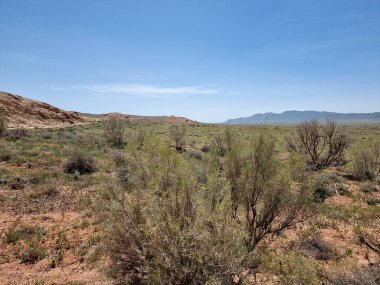 Ağaçlar ve dağlarla dolu güzel bir manzara.