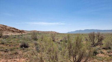 Dağları ve ağaçları olan güzel bir manzara.