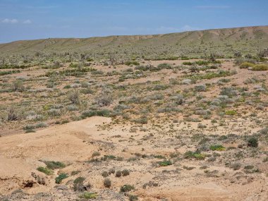 Doğanın güzel manzarası