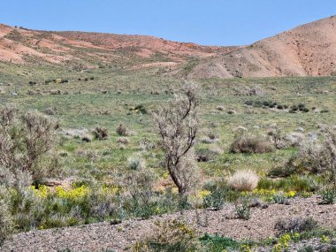 dağların güzel sahne