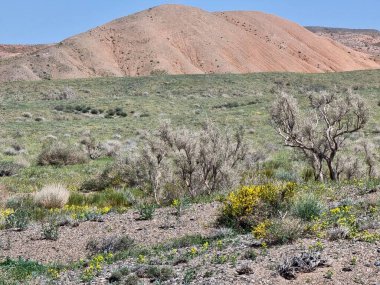 Çölün ve dağların güzelliği