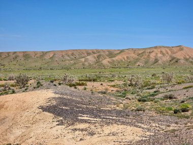 Çölün muhteşem manzarası 