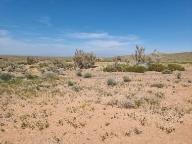 Çölün güzel manzarası 