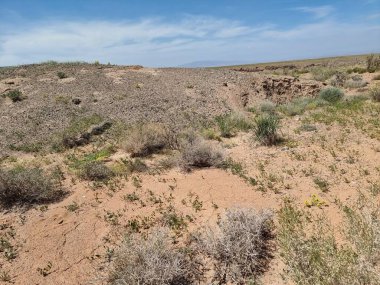 Çölün muhteşem manzarası 