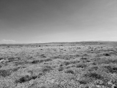 Çölün siyah beyaz fotoğrafı