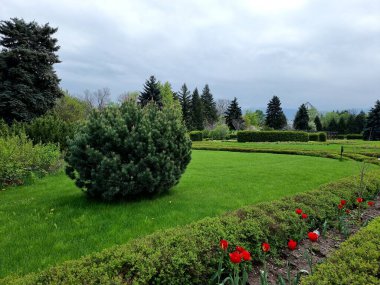 Geniş bahçeli güzel bir manzara. 