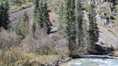 Doğanın güzel manzarası