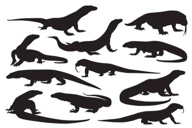 Komodo ejderhasının siyah siluetleri ve farklı türler.