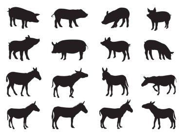 Domuz ve eşek silueti vektör çizimi