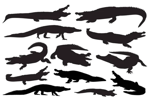 Sæt Alligator Silhuetter Vektor Illustration – Stock-vektor