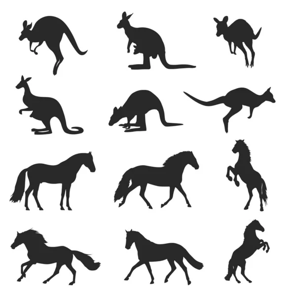 Horse Kangaroo Silhouette Set — Stock Vector