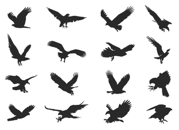 Illustration Avec Des Silhouettes Aigle Sur Fond Blanc — Image vectorielle
