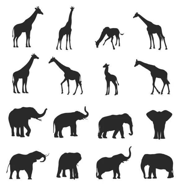 Conjunto Jirafa Elefante Ilustración Vectorial — Vector de stock