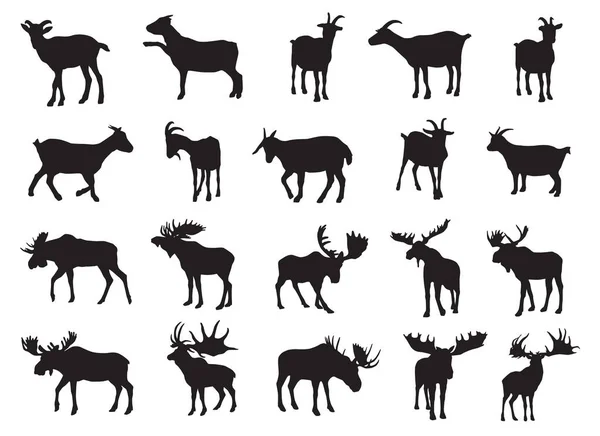 Set Black Silhouettes Moose Goat — Stock Vector