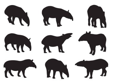 Vahşi Batı Afrika tapir silueti, vektör illüstrasyon