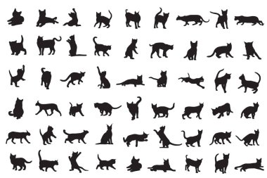 Beyaz arkaplanda farklı kedi hayvan siluetleri var.