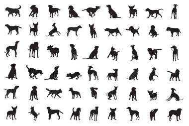 köpek silueti, siyah ve beyaz, vektör, sanat, illüstrasyon