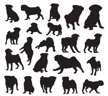Farklı pug köpek vektörlerinin siluetleri