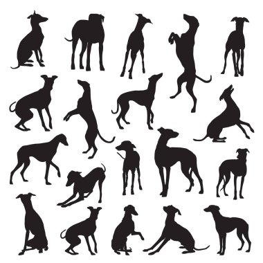 Gri av köpeği siluetlerinin vektör kümesi
