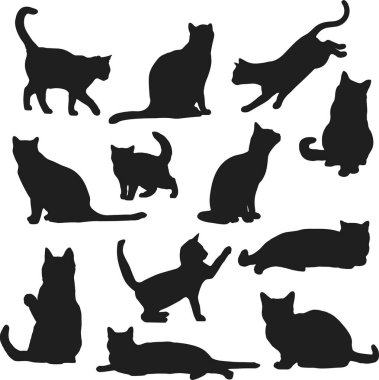 Bir grup siyah beyaz kedi. vektör illüstrasyonu