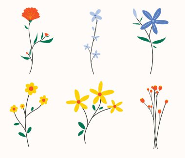 El çizimi bahar çiçekleri koleksiyonu