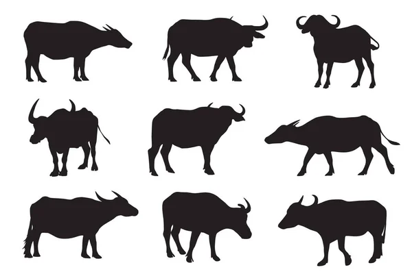 Conjunto Siluetas Vectoriales Diferentes Tipos Búfalos — Vector de stock