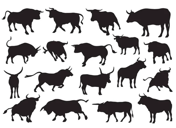Conjunto Siluetas Vectoriales Diferentes Tipos Toros — Vector de stock