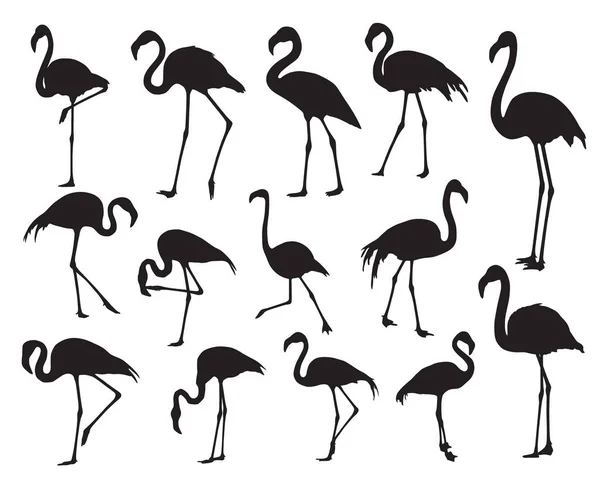 Flamingo Seti Siluet Kuşlar — Stok Vektör