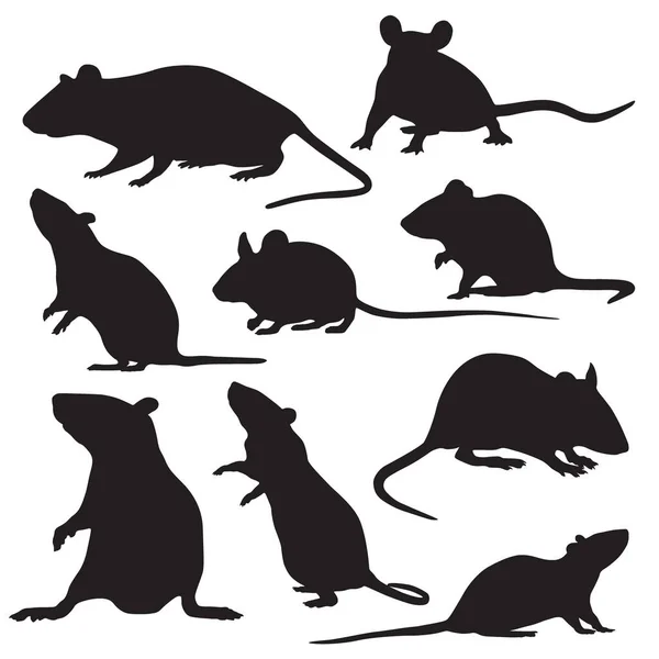 Fare ve farelerin siyah siluetlerinin vektör kümesi