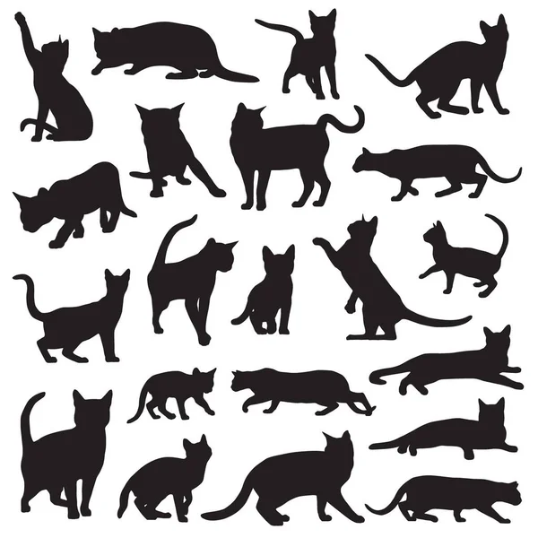 Sada Siluet Bengálských Koček Vektorová Ilustrace — Stockový vektor