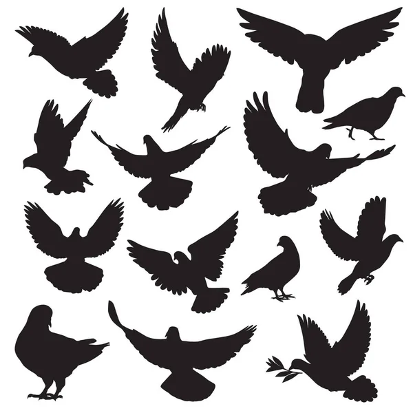 Silhouetten Van Duiven Vogels Van Verschillende Dieren — Stockvector