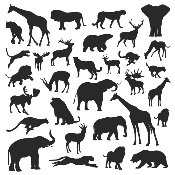 Σύνολο Ζωικές Σιλουέτες Των Διαφόρων Ζώων Εικονογραφήσεις Φορέα — Διανυσματικό Αρχείο