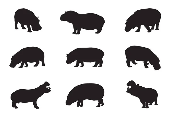 Conjunto Siluetas Negras Diferentes Hipopótamos — Vector de stock