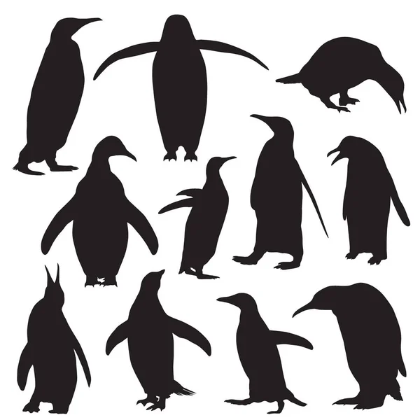 Ensemble Silhouette Vectorielle Pingouins Sur Fond Blanc — Image vectorielle