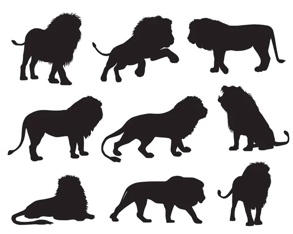 Σύνολο Διανυσματικών Σιλουετών Διαφορετικών Λιονταριών — Διανυσματικό Αρχείο