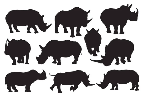 Σιλουέτες Ασπρόμαυρων Ρινόκερων Ζώων — Διανυσματικό Αρχείο