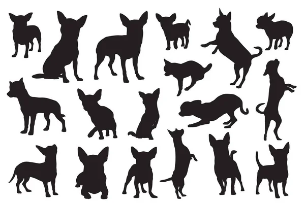 Vector Ilustración Siluetas Perro Chihuahua — Vector de stock