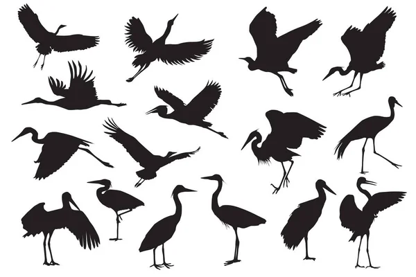 Vector Silhouettes Herons Bird Silhouette — Stock Vector