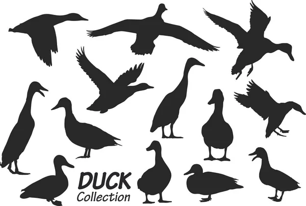 アヒルや鳥や動物野生動物のシルエットです 黒いシルエットのベクトル画像です — ストックベクタ