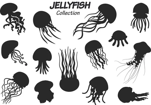Collection Different Jellyfish Shells Sea Marine Life Vector Set — Stock Vector
