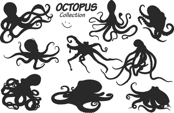 Collection Black Silhouettes Octopus White Background — Stock Vector