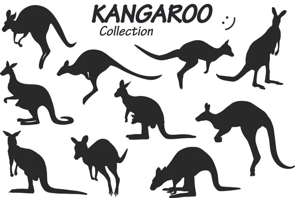 Kanguru Silueti Vektör Çizimi — Stok Vektör