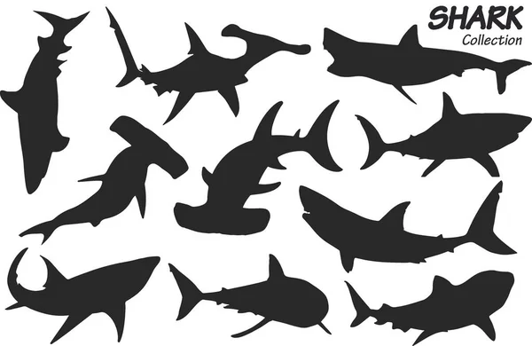 Set Black Silhouettes Shark Vector Illustration — Stock Vector
