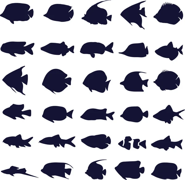 Stock vector sea animal silhouettes, fish, vector